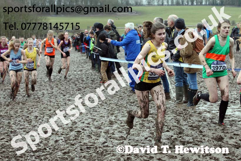 Girls under-15s 2018 British Inter Counties Cross Country Champs., Prestwold Hall, Loughborough. Photo: David T. Hewitson/Sports for All Pics
